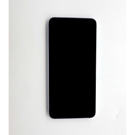 Samsung Galaxy S25+ Silver Shadow Screen With Frame Original Pulled